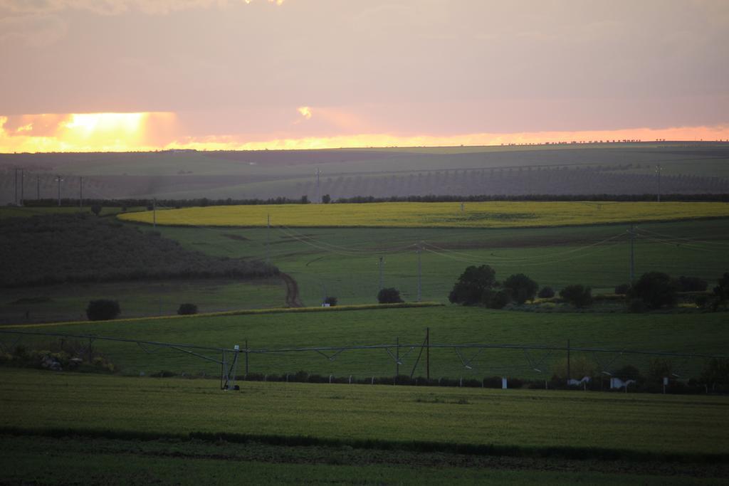 Monte Da Morena Agro-Turismo Серпа Экстерьер фото