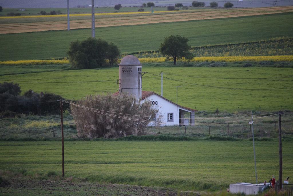 Monte Da Morena Agro-Turismo Серпа Экстерьер фото