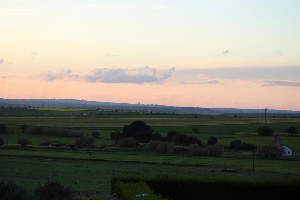 Monte Da Morena Agro-Turismo Серпа Экстерьер фото